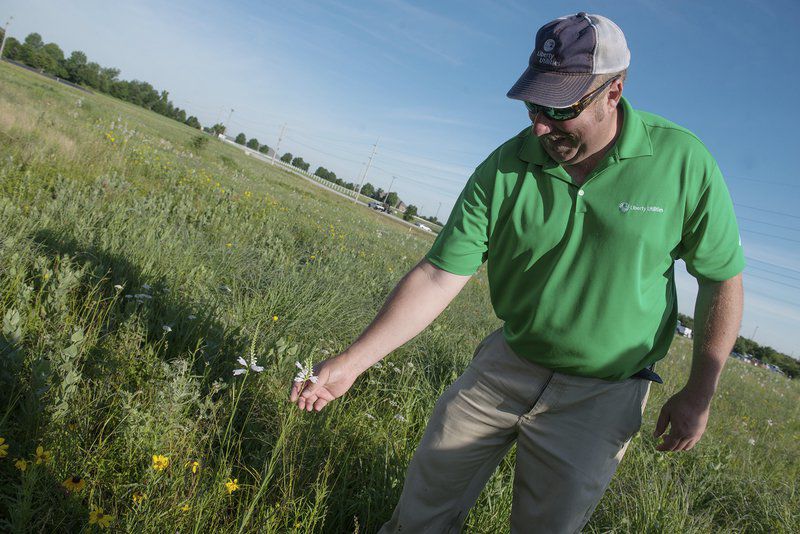 National groups, Liberty-Empire shine spotlight on pollinators